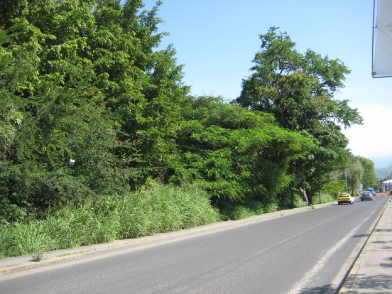 TERRENO EN VENTA COCOYOC MOR