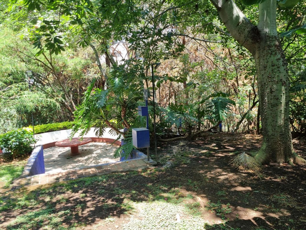{"esp":"\u00c1rea Com\u00fan jardines","ing":""}