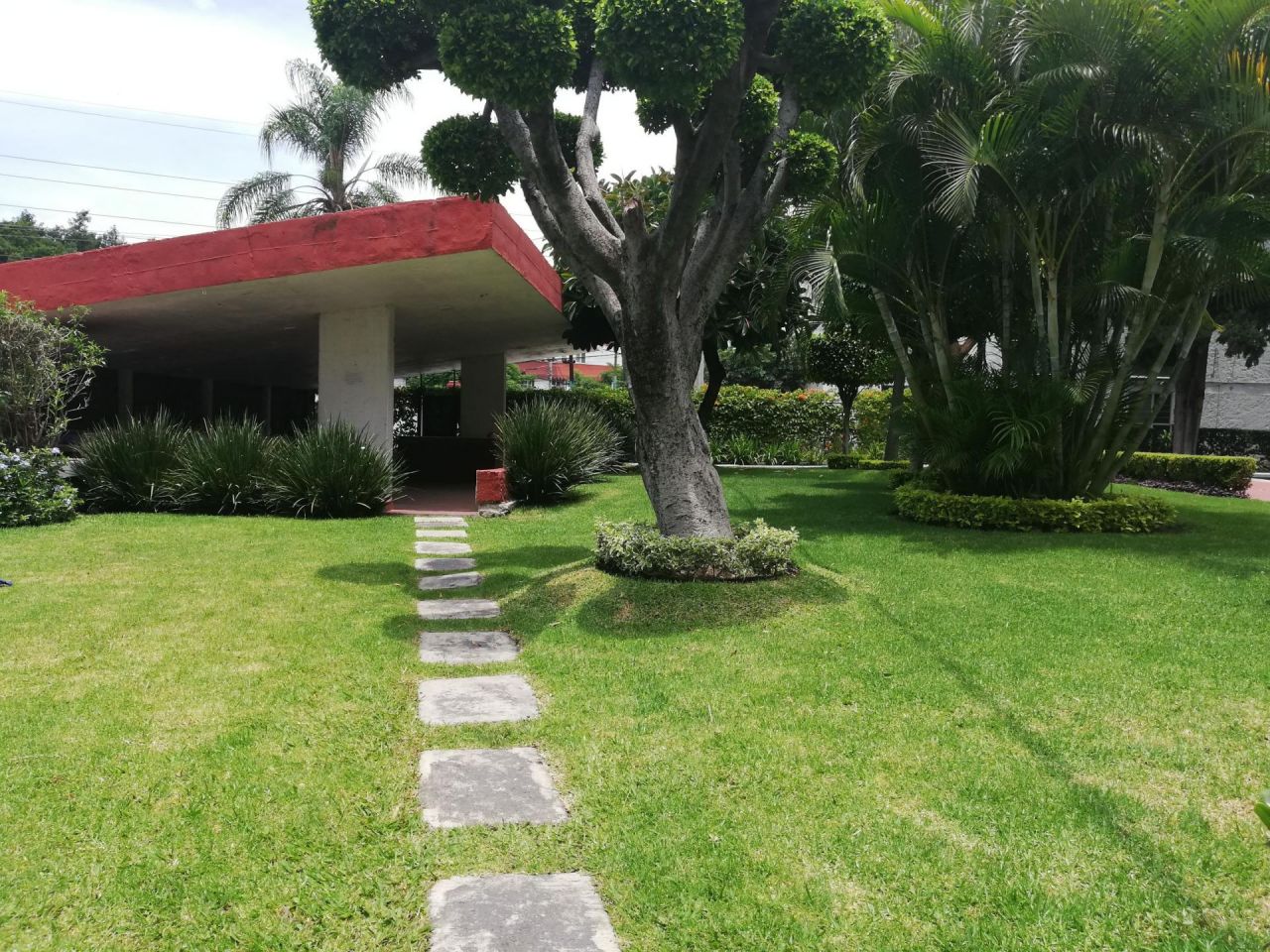 {"esp":"jard\u00edn y palapa","ing":""}