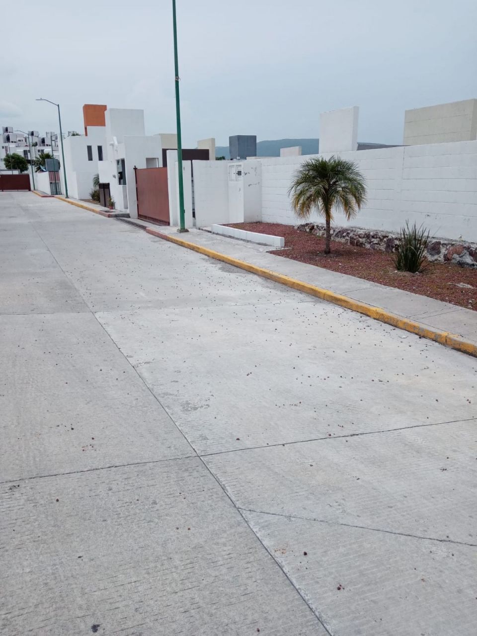 {